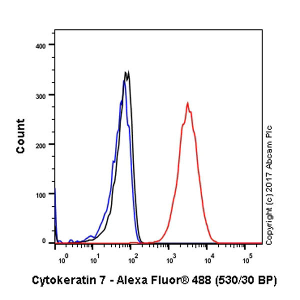 Flow Cytometry (Intracellular) - Anti-Cytokeratin 7 antibody [EPR17078] - Cytoskeleton Marker (AB181598)
