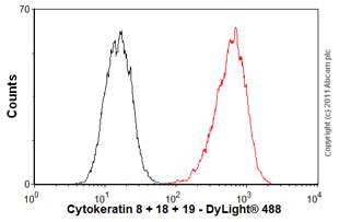 Anti-Cytokeratin 8 + 18 + 19 antibody [2A4]