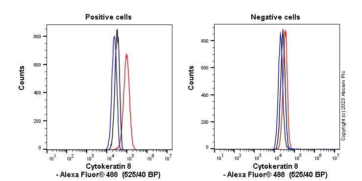 Flow Cytometry (Intracellular) - Anti-Cytokeratin 8 antibody [EP1628Y] - BSA and Azide free (AB217173)