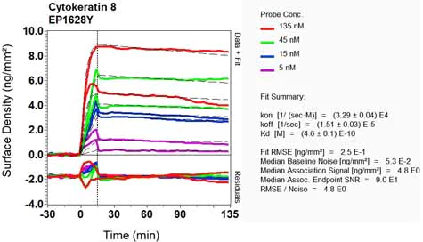 OI-RD Scanning - Anti-Cytokeratin 8 antibody [EP1628Y] - Cytoskeleton Marker (AB53280)