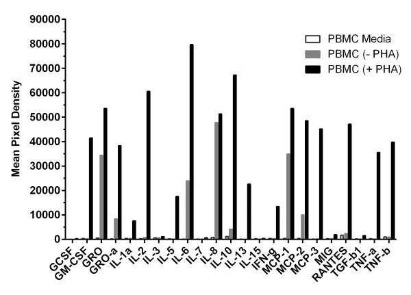 Multiplex Protein Detection - Cytokine Array - Human Cytokine Antibody Array (Membrane, 23 Targets) (AB133996)