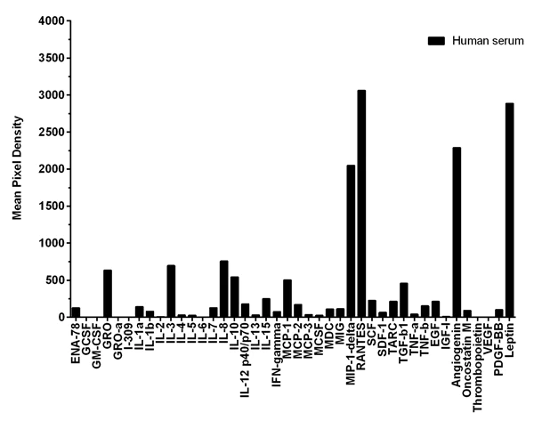Multiplex Protein Detection - Cytokine Array - Human Cytokine Antibody Array (Membrane, 42 Targets) (AB133997)