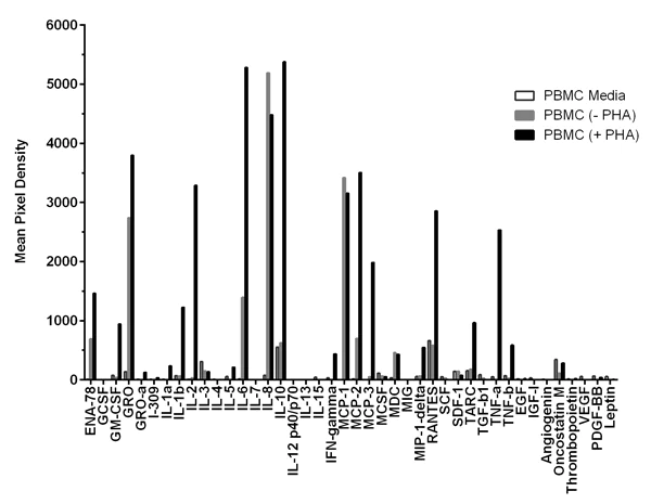 Multiplex Protein Detection - Cytokine Array - Human Cytokine Antibody Array (Membrane, 42 Targets) (AB133997)