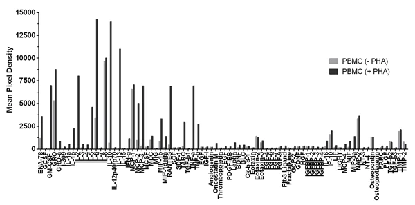 Multiplex Protein Detection - Cytokine Array - Human Cytokine Antibody Array (Membrane, 80 Targets) (AB133998)
