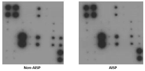 Multiplex Protein Detection - Cytokine Array - Mouse Cytokine Antibody Array (Membrane, 22 Targets) (AB133993)