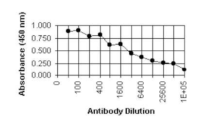 ELISA - Anti-Cytomegalovirus antibody [6F12] (AB6500)