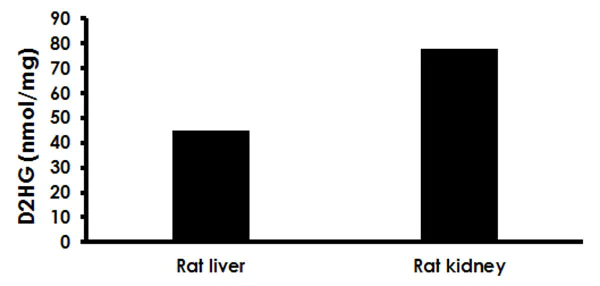 Functional Studies - D 2 Hydroxyglutarate Assay Kit (Colorimetric) (AB211070)