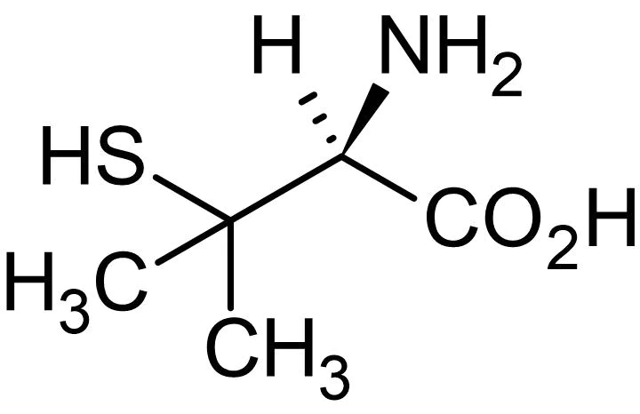 Chemical Structure - D-Penicillamine, Copper chelator (AB141029)