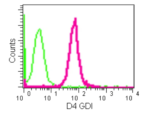 Flow Cytometry (Intracellular) - Anti-D4 GDI antibody [EPR14212(B)] (AB181252)