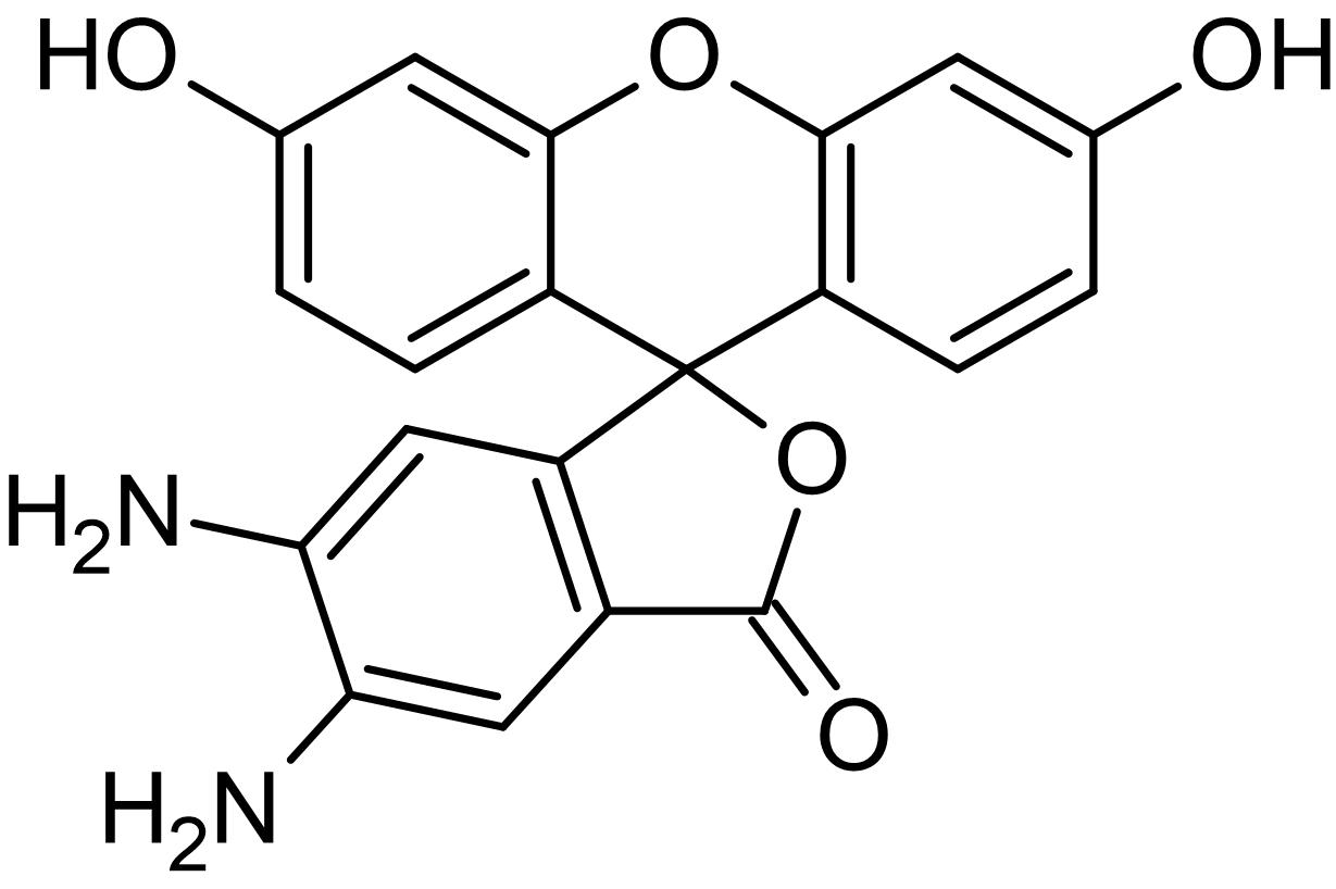 Chemical Structure - DAF-2, Fluorescent nitric oxide probe (AB145269)
