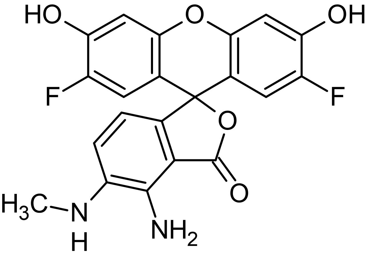 Chemical Structure - DAF-FM, Fluorescent probe for nitric oxide quantification (AB145297)
