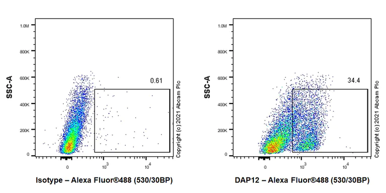 Flow Cytometry (Intracellular) - Anti-DAP12 antibody [EPR24244-76] - BSA and Azide free (AB283703)