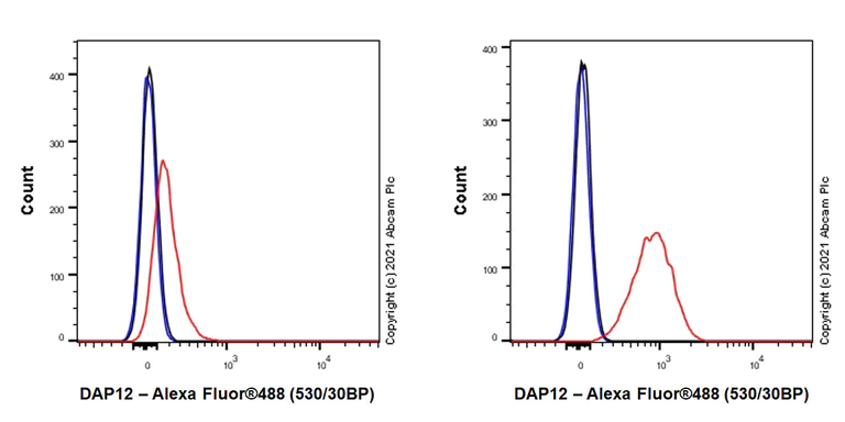 Flow Cytometry (Intracellular) - Anti-DAP12 antibody [EPR24244-76] - BSA and Azide free (AB283703)