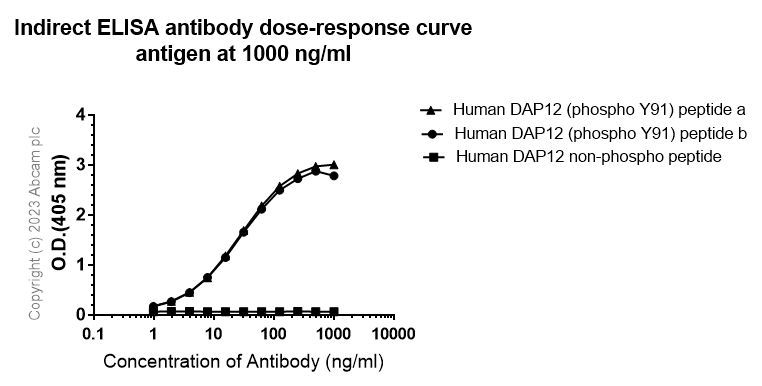 Indirect ELISA - Anti-DAP12 (phospho Y91) antibody [EPR25630-43] - BSA and Azide free (AB314892), expandable thumbnail