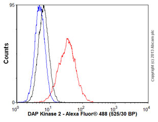 Flow Cytometry (Intracellular) - Anti-DAPK2 antibody [EP1633Y] (AB51601)