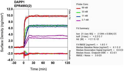 OI-RD Scanning - Anti-DAPP1 antibody [EPR4993(2)] (AB131212)