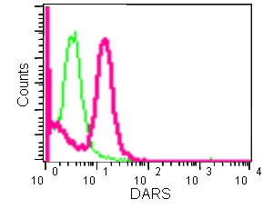 Flow Cytometry (Intracellular) - Anti-DARS antibody [EPR14847(B)] - BSA and Azide free (AB250599)