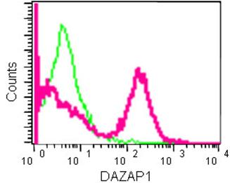 Flow Cytometry (Intracellular) - Anti-DAZAP1 antibody [EPR14400] - BSA and Azide free (AB250616)