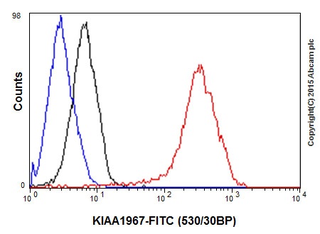 Flow Cytometry (Intracellular) - Anti-DBC-1 antibody [EPR18317] (AB205526)
