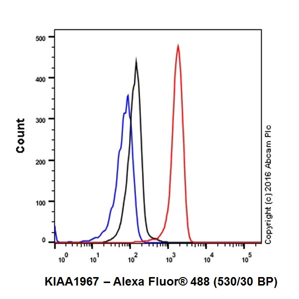 Flow Cytometry (Intracellular) - Anti-DBC-1 antibody [EPR19747] - BSA and Azide free (AB223530)