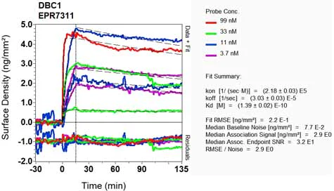 OI-RD Scanning - Anti-DBC1 antibody [EPR7311] (AB128890)