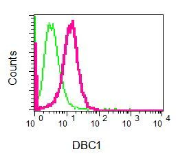 Flow Cytometry (Intracellular) - Anti-DBC1 antibody [EPR7311] - BSA and Azide free (AB248201)
