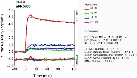 OI-RD Scanning - Anti-DBF4 antibody [EPR5635] - BSA and Azide free (AB247972)