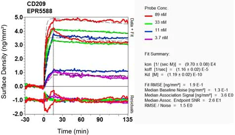 OI-RD Scanning - Anti-DC-SIGN antibody [EPR5588] (AB124828)