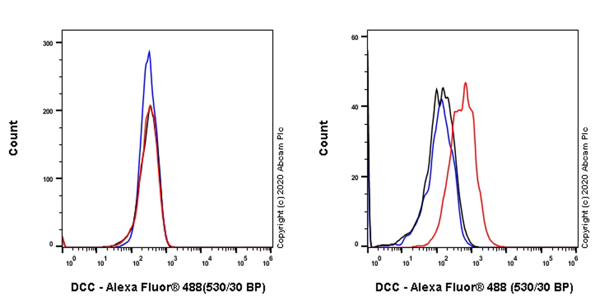 Flow Cytometry - Anti-DCC antibody [EPR23313-115] (AB273570), expandable thumbnail