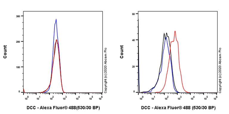 Flow Cytometry - Anti-DCC antibody [EPR23313-115] (AB273570)