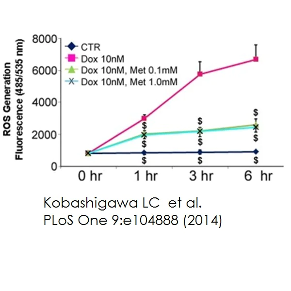 Cellular Activity - DCFDA / H2DCFDA - Cellular ROS Assay Kit (AB113851)