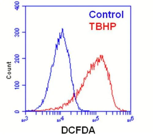 Flow Cytometry - DCFDA / H2DCFDA - Cellular ROS Assay Kit (AB113851)