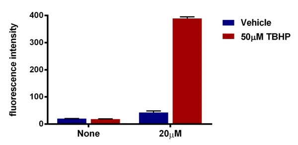 Functional Studies - DCFDA / H2DCFDA - Cellular ROS Assay Kit (AB113851)