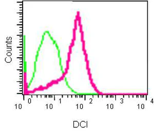 Flow Cytometry (Intracellular) - Anti-DCI antibody [EPR15375(B)] (AB186752)