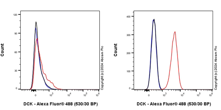 Flow Cytometry (Intracellular) - Anti-DCK antibody [EPR29105-53] (AB317829)
