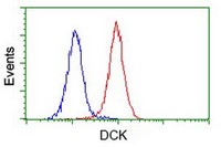 Flow Cytometry (Intracellular) - Anti-DCK antibody [OTI16E12] (AB118994)