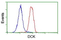 Flow Cytometry (Intracellular) - Anti-DCK antibody [OTI16E12] (AB118994)
