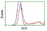 Flow Cytometry (Intracellular) - Anti-DCK antibody [OTI16E12] (AB118994)