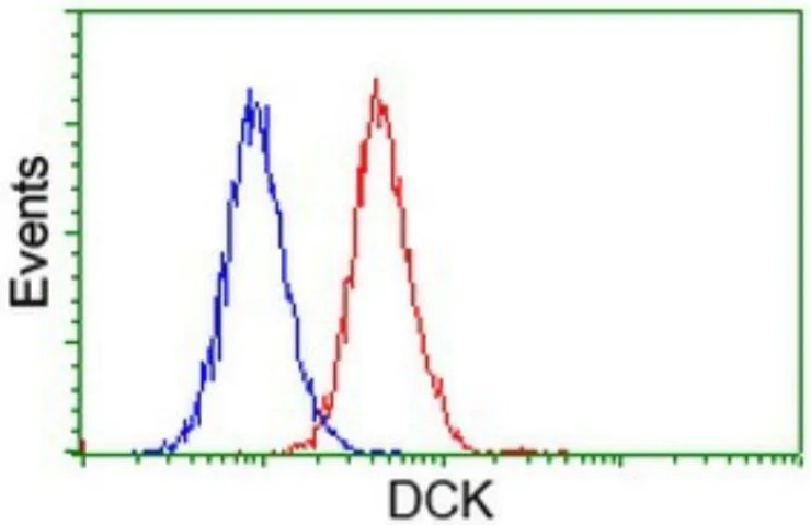 Flow Cytometry (Intracellular) - Anti-DCK antibody [OTI16G6] - BSA and Azide free (AB273650)