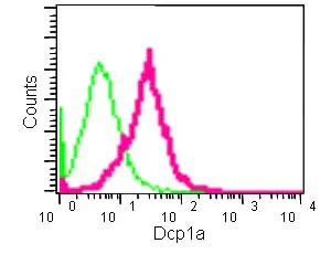 Flow Cytometry (Intracellular) - Anti-Dcp1a antibody [EPR13822] - BSA and Azide free (AB240275)