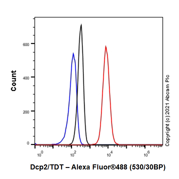 Flow Cytometry (Intracellular) - Anti-Dcp2/TDT antibody [EPR25378-93] (AB288158), expandable thumbnail