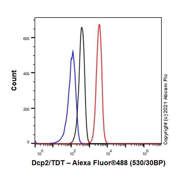 Flow Cytometry (Intracellular) - Anti-Dcp2/TDT antibody [EPR25378-93] (AB288158), expandable thumbnail