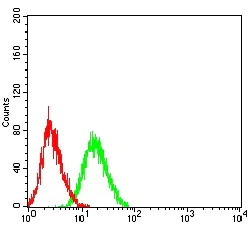 Flow Cytometry - Anti-DcR3 antibody [3C5H10] (AB233816)