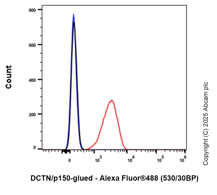 Flow Cytometry (Intracellular) - Anti-DCTN1/p150-glued antibody [EPR26464-28] (AB302629)
