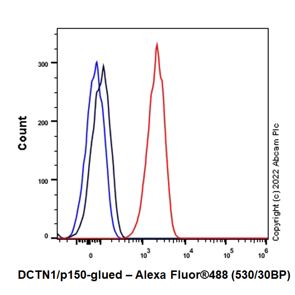 Flow Cytometry (Intracellular) - Anti-DCTN1/p150-glued antibody [EPR26464-28] (BSA and Azide free) (AB302630), expandable thumbnail