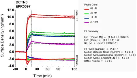 OI-RD Scanning - Anti-DCTN3 antibody [EPR5097] - BSA and Azide free (AB232440)