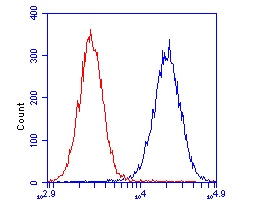 Flow Cytometry - Anti-DCXR antibody [4G4AF5] (AB110283)