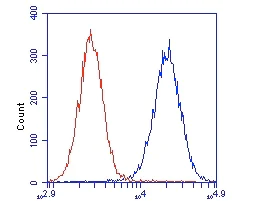 Flow Cytometry - Anti-DCXR antibody [4G4AF5] (AB110283)