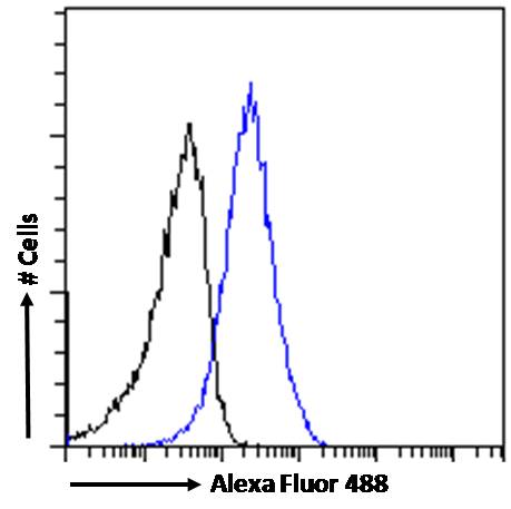 Flow Cytometry - Anti-DDAH1 antibody (AB2231)