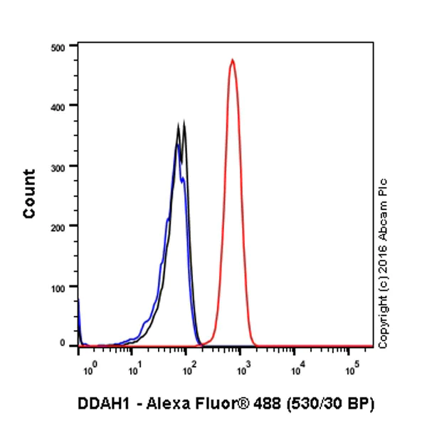Flow Cytometry (Intracellular) - Anti-DDAH1 antibody [EPR13922] - BSA and Azide free (AB240228)